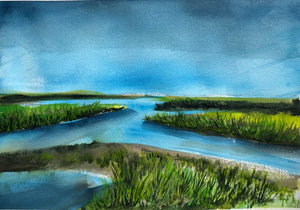 Salt Marsh