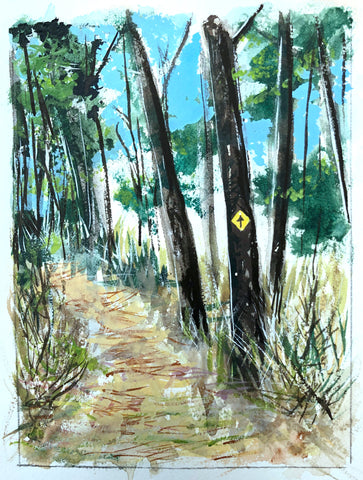 Wild Azalea Trail