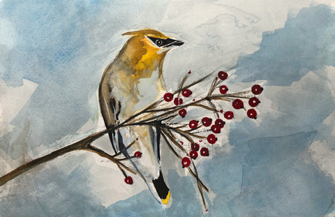 Cedar Waxwing