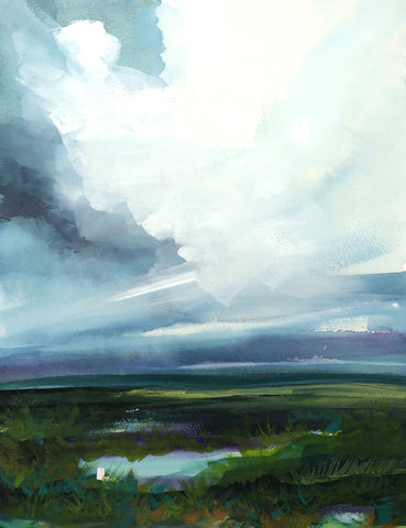 Storm Over the Marsh