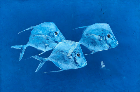 Lookdown Fish on Blue