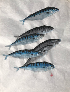 Norway Mackerel Schooling