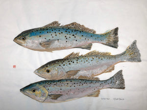 Speckled Trout