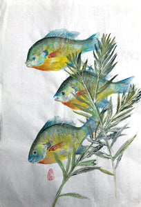 Three Bluegills